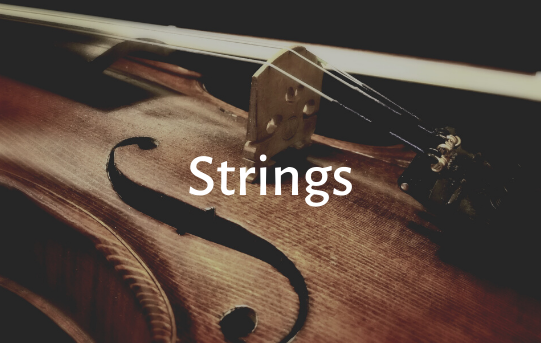 Strings