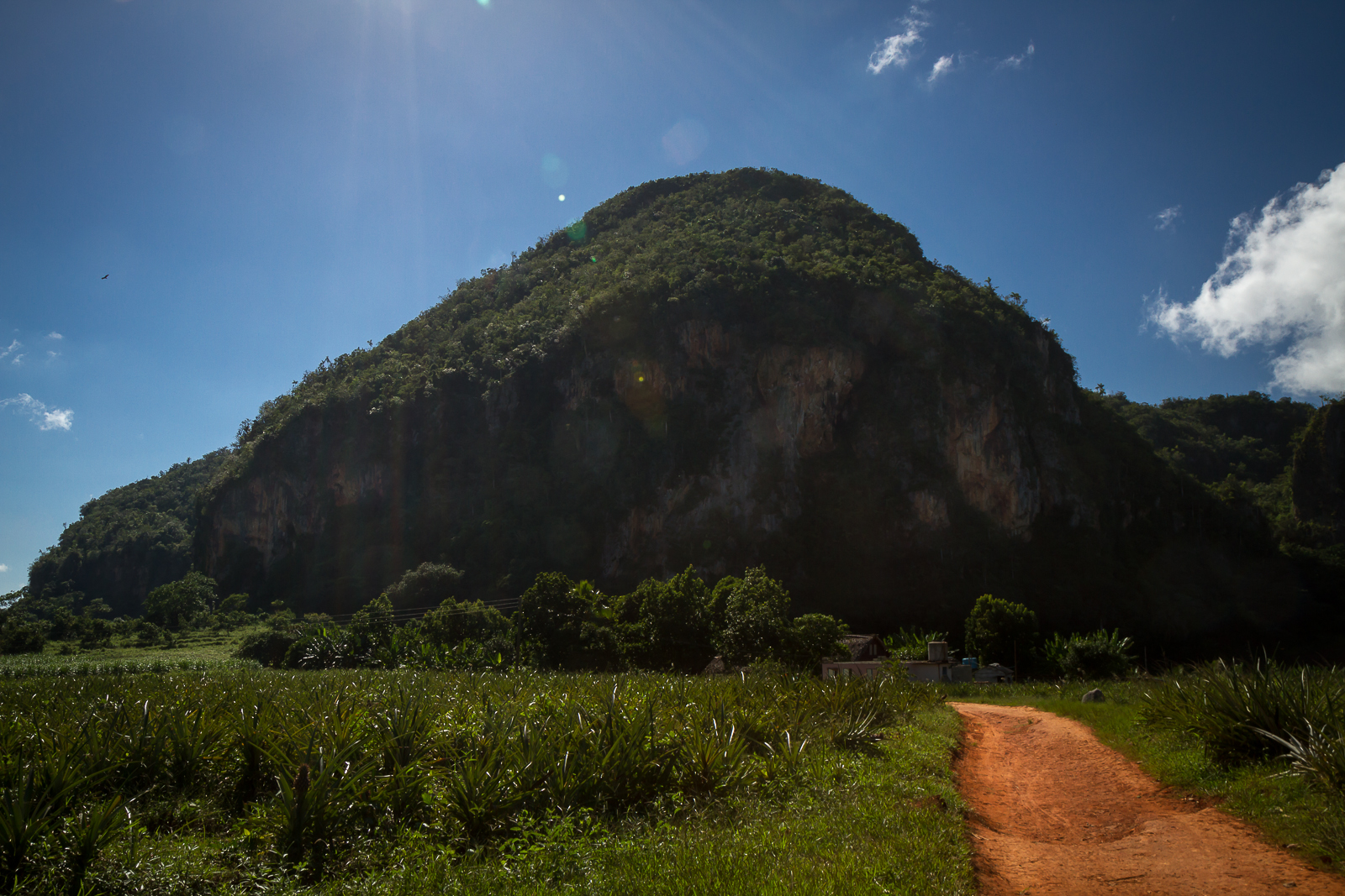 Limestone hill in Vinales      Viñales is famous for its stunning limestone hills - much like Halong Bay in Vietnam, but on land. &nbsp;This part of the country also has many tobacco plantations. &nbsp;We saw a farmer roll a perfect cigar - amazing 