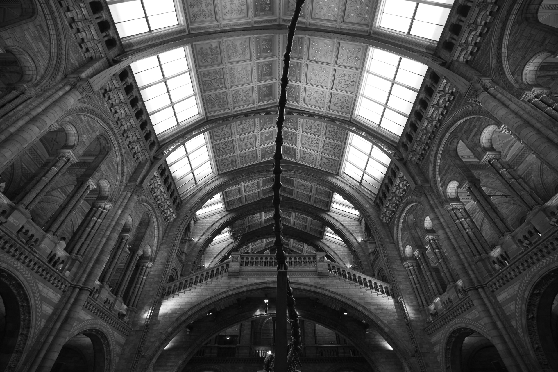 NHM-3.jpg