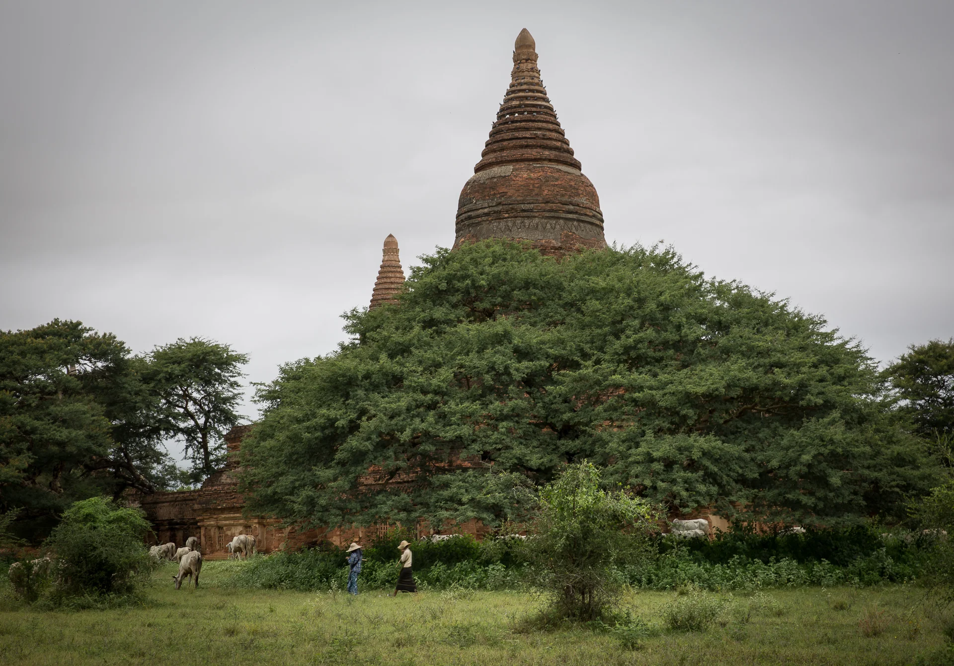  Bagan 