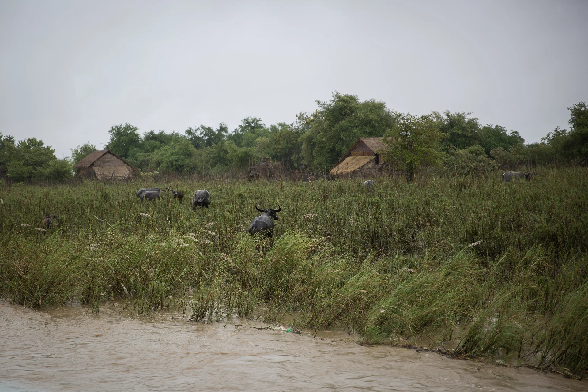  Irrawaddy River 