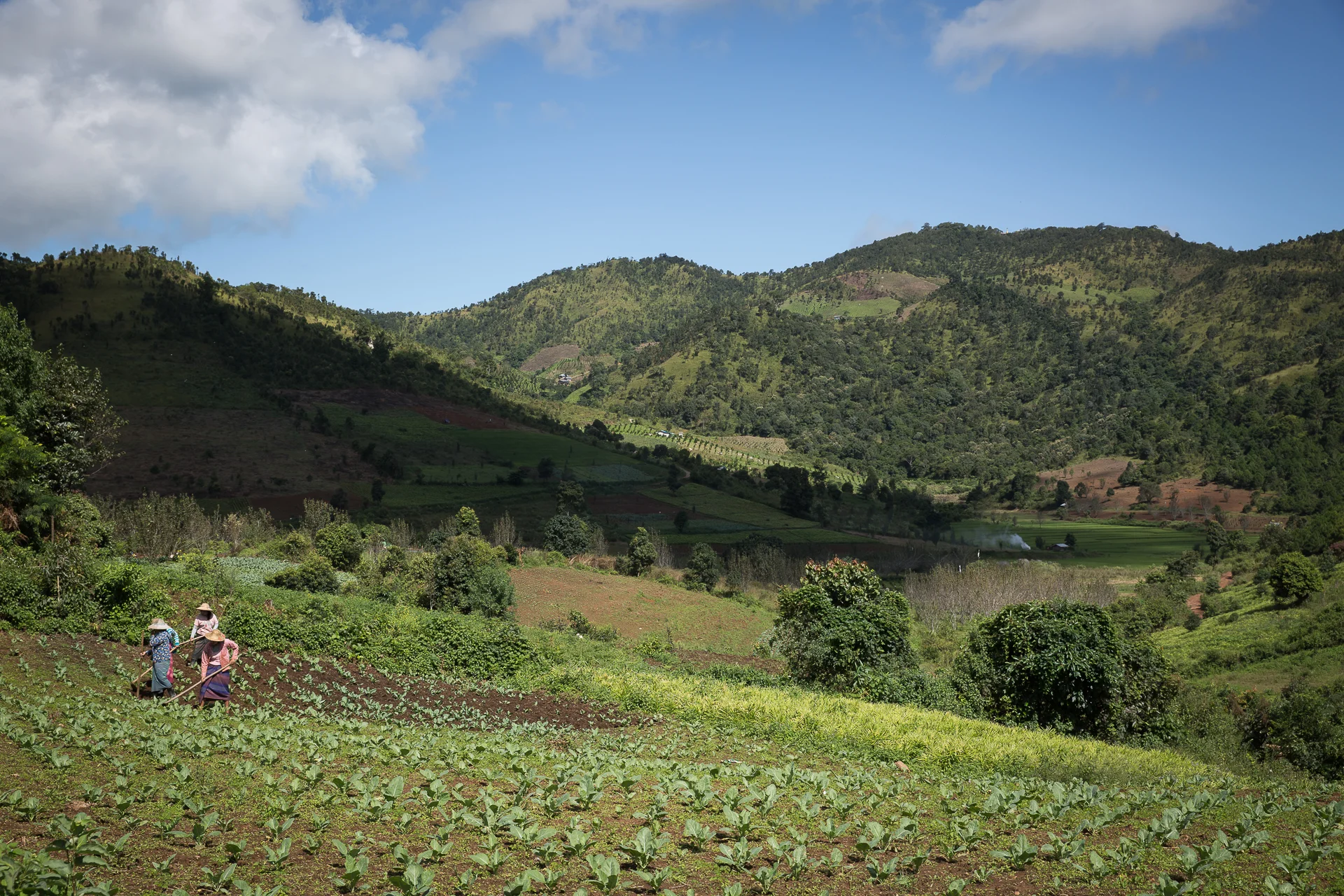  Trekking in Kalaw 