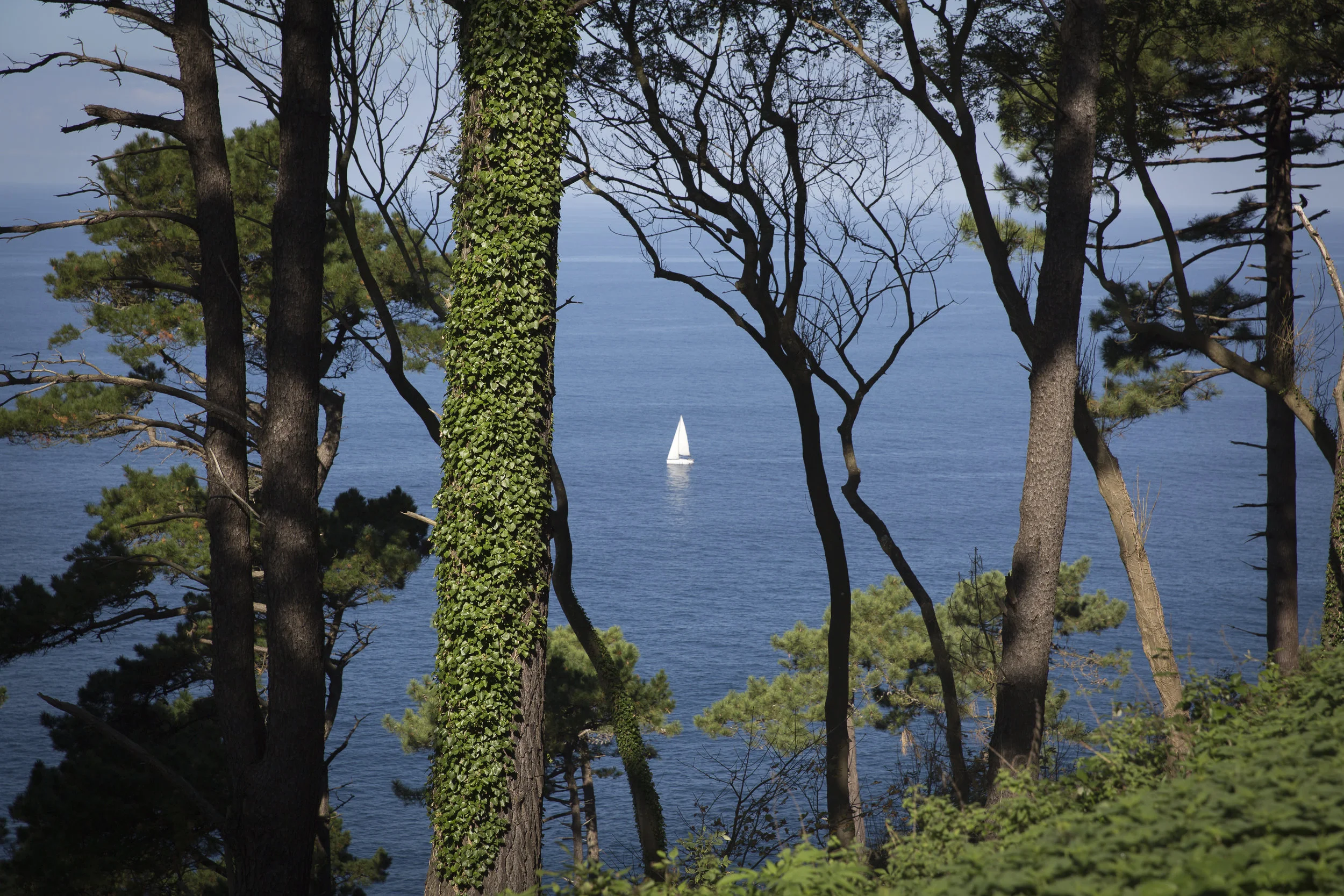 San Seb -8.jpg