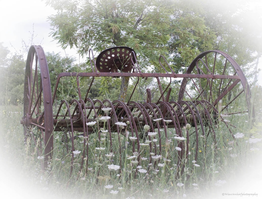  Old device to turn the hay with horse, Vaucluse, France 