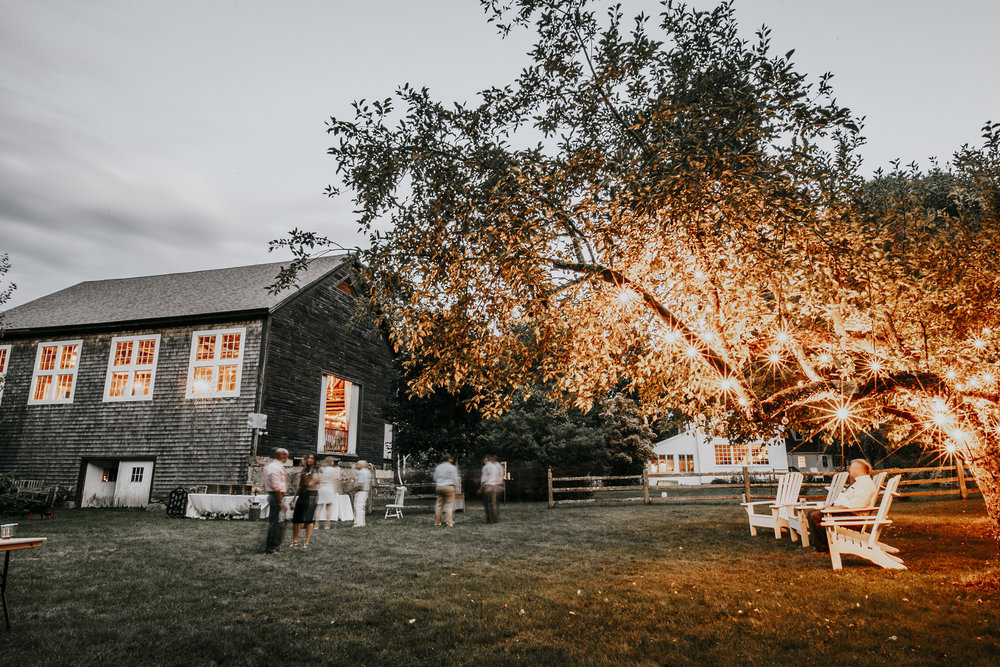 twilight at a wedding at Josias River Farm