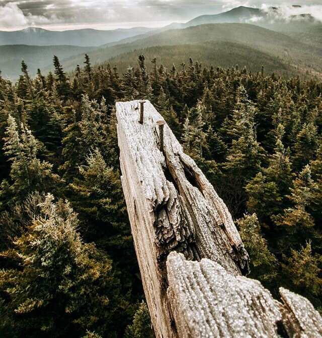 The view from the fire tower. Number 4 Mountain, near Kokadjo, Maine.