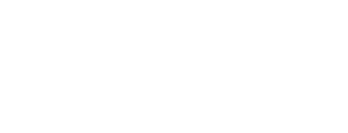 finis_logo_white-2.png