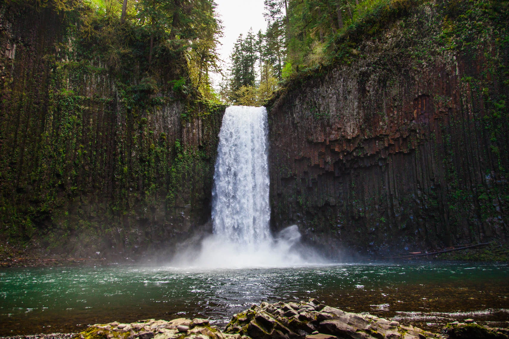 15_4_Oregon_MG_8162.JPG