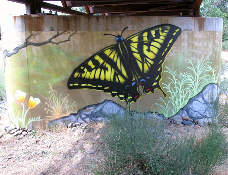 butterfly_01.jpg
