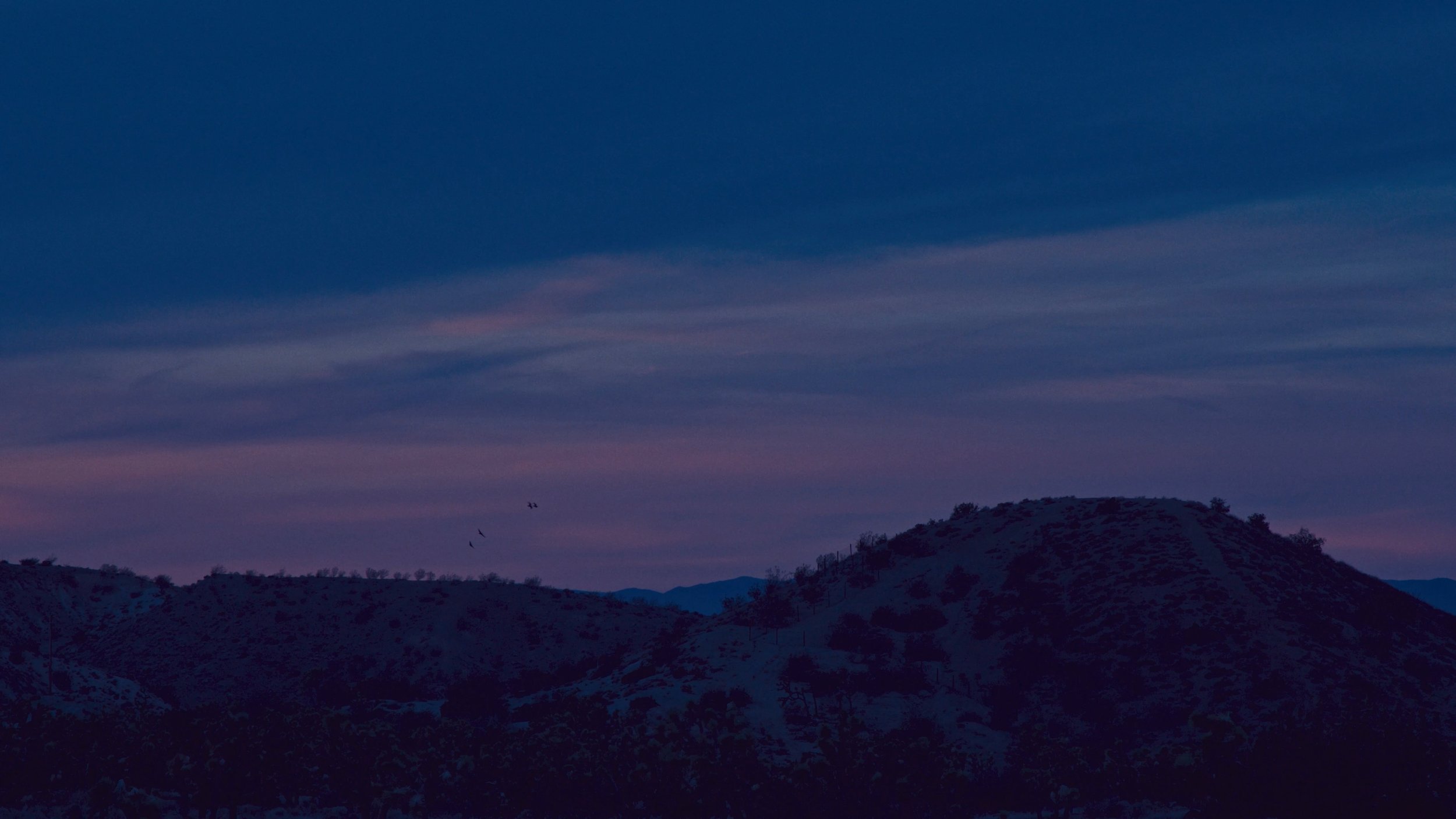 Untitled_1.220.1.jpg