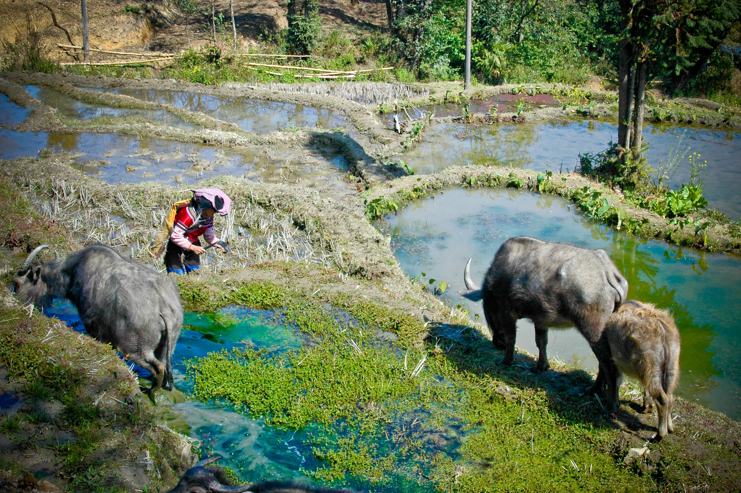 DSC_1451.jpg