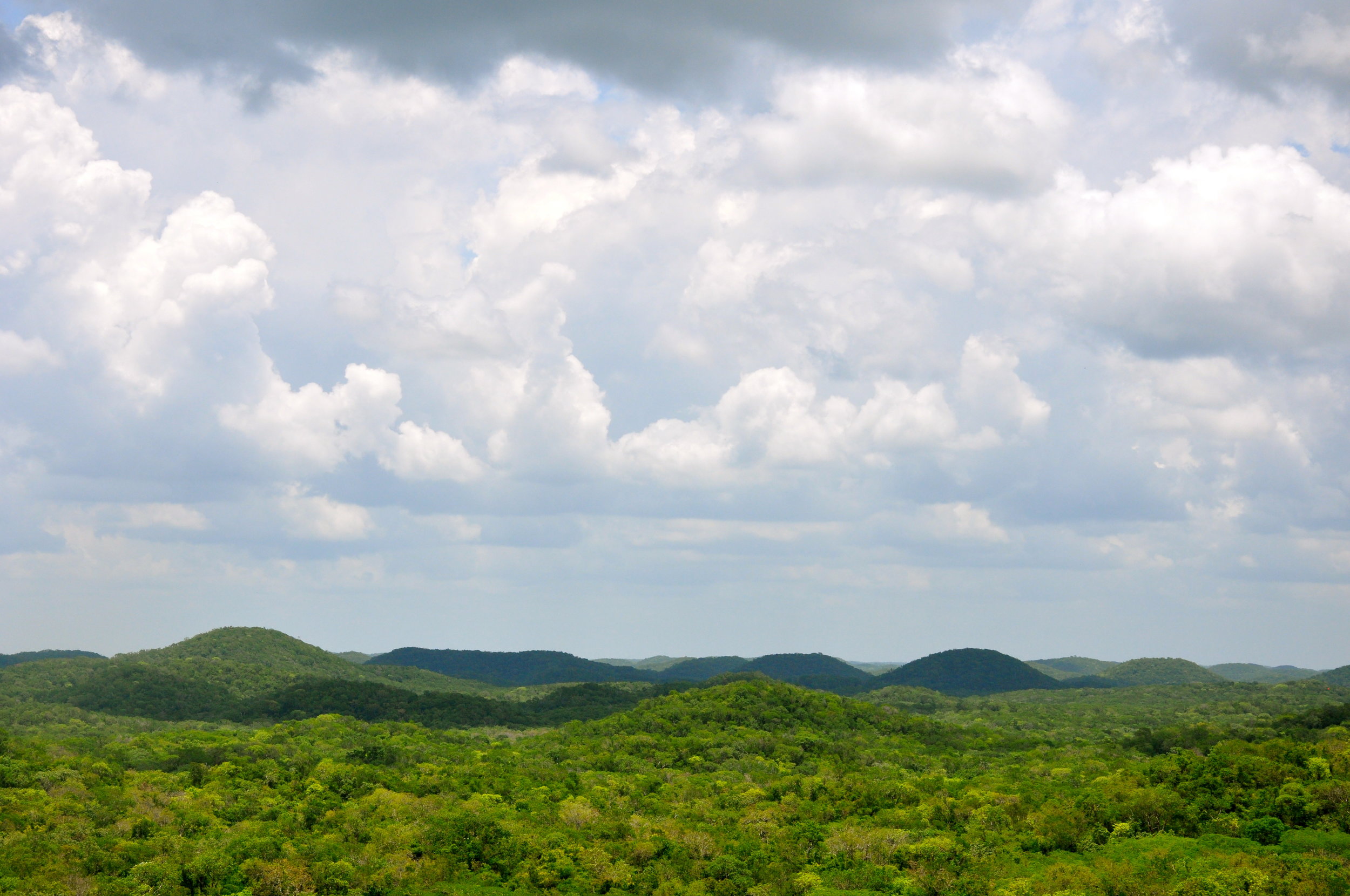 DSC_0087.JPG