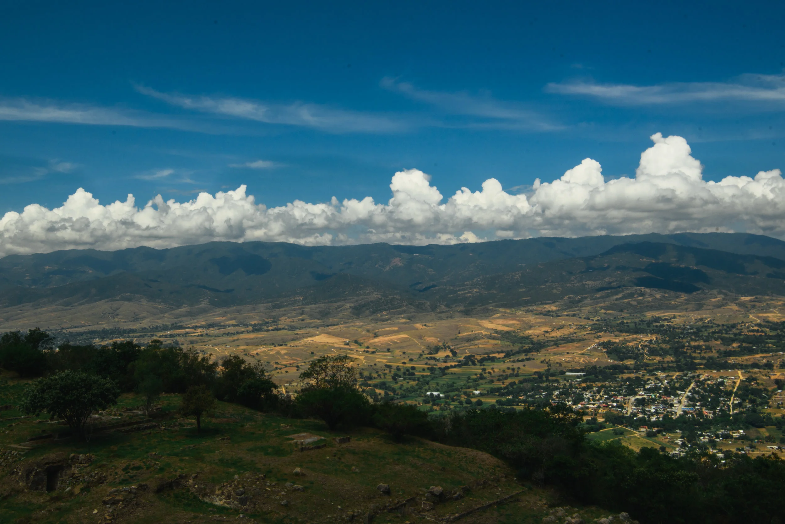 DSC_3011.jpg