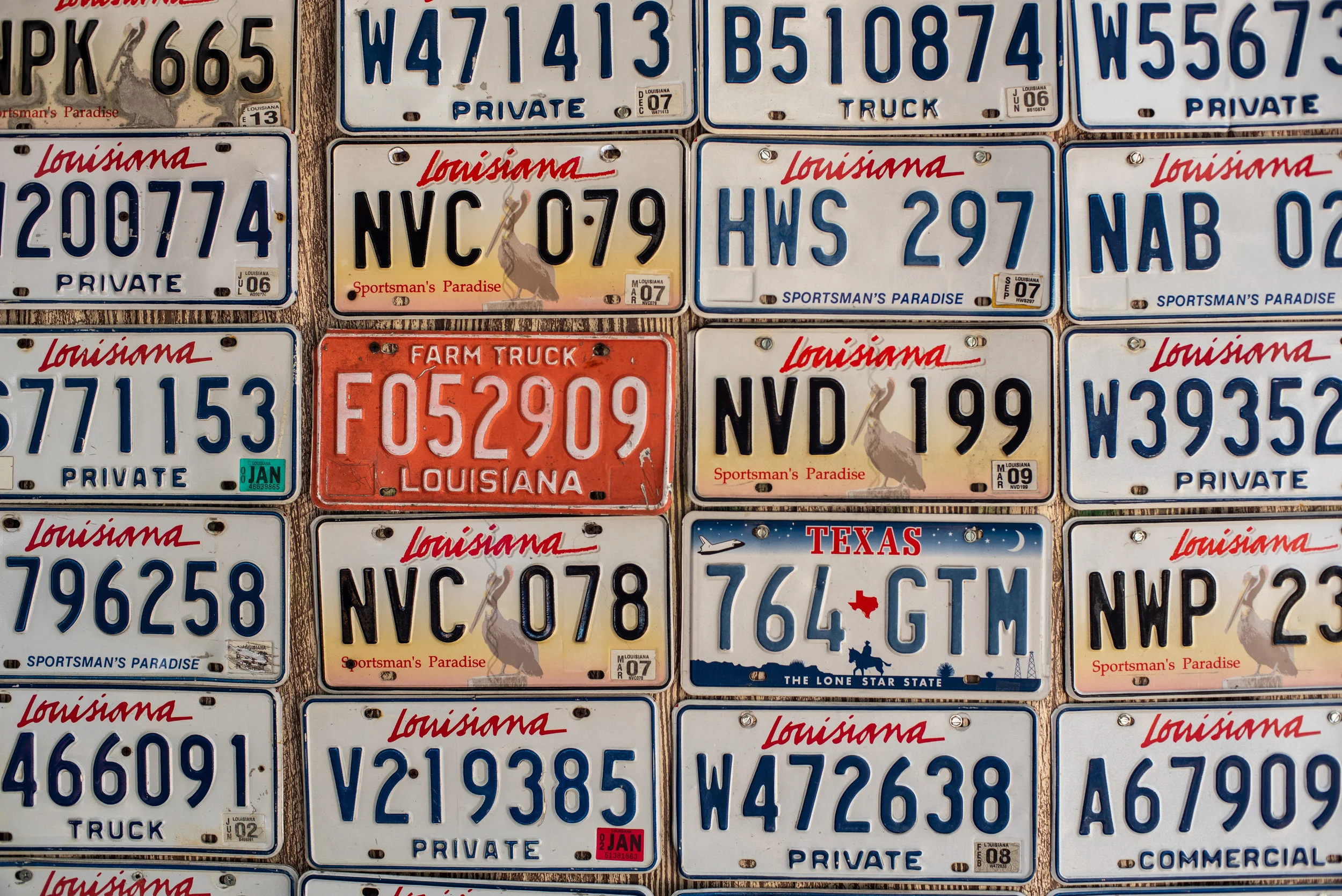 DSC_6145.jpg