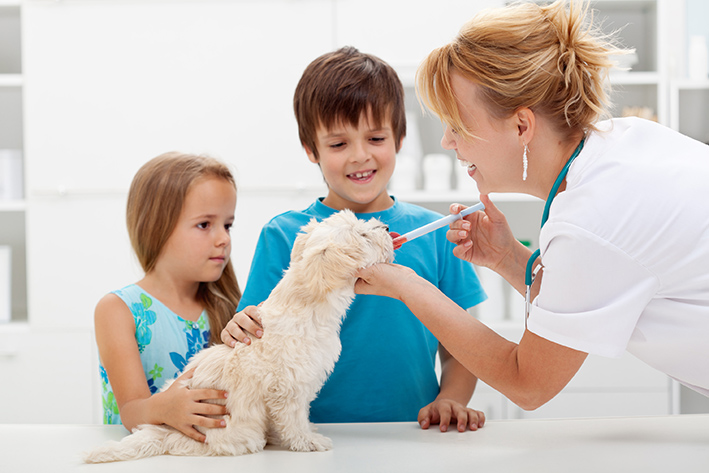 PREVENTIVE CARE