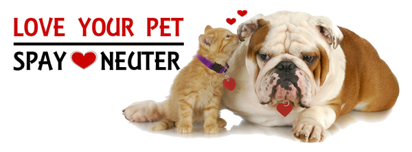SPAYING AND NEUTERING