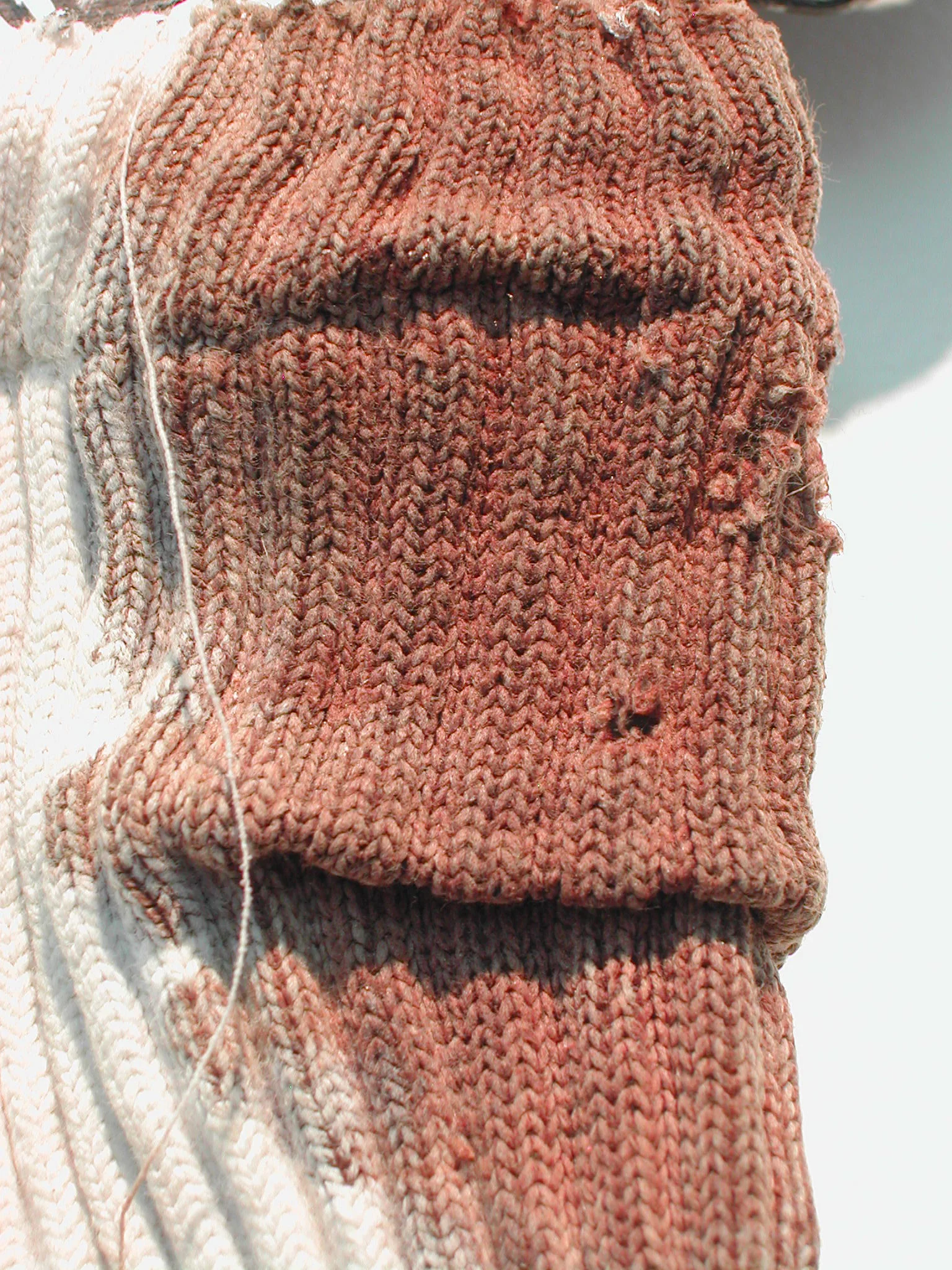3Bloody White Sox (detail).JPG