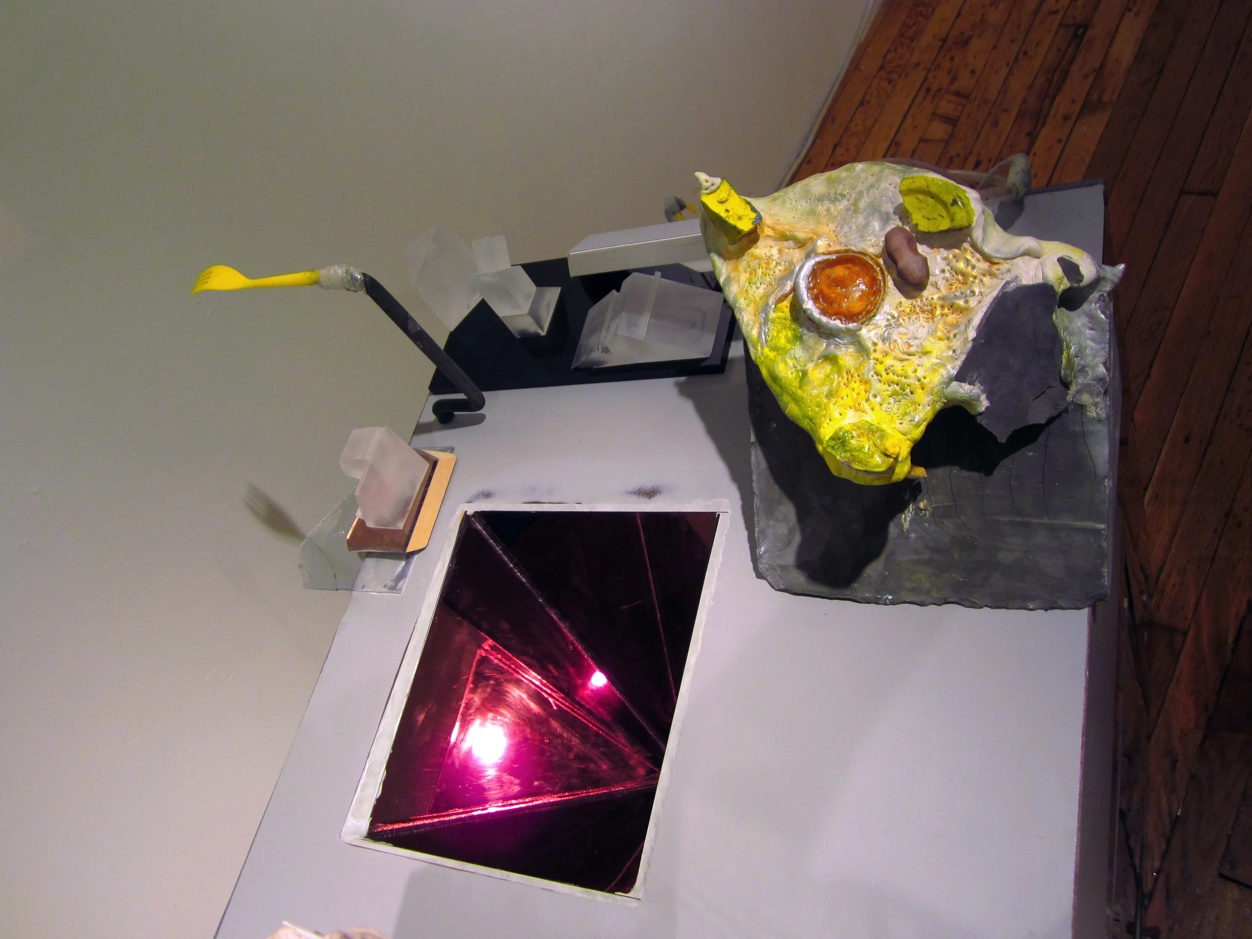 C.Wawrinofsky18_2014.jpg