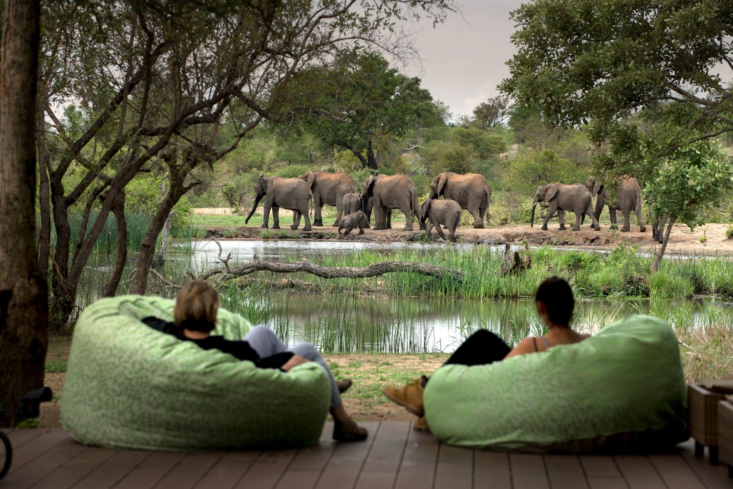 10.+TANDA+TULA+SAFARI+CAMP+RELAXATION.jpg