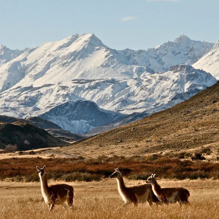 Patagonia | Torres del Paine