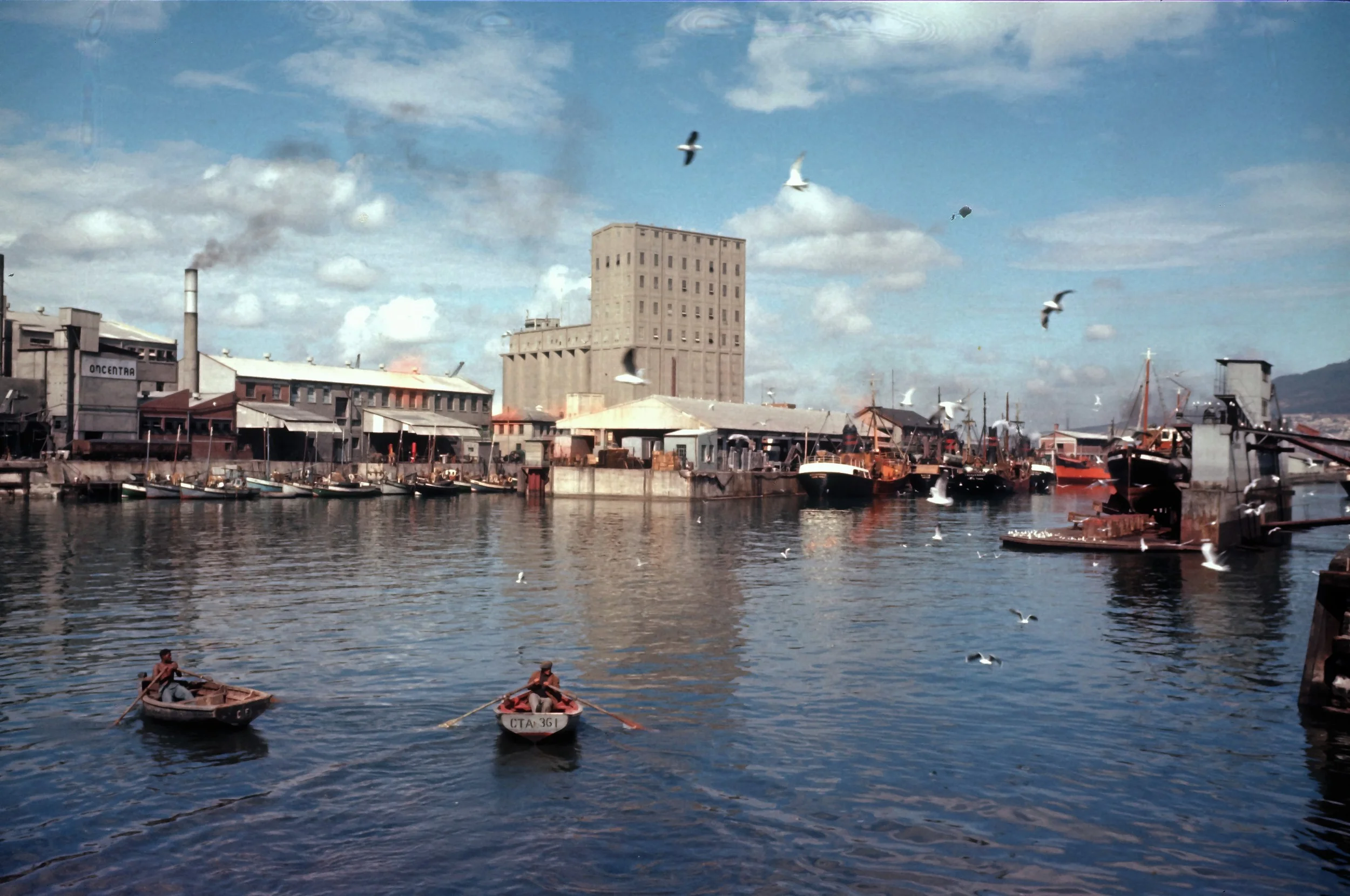 This wonderful image was taken in 1955 by Willie Werth.jpg