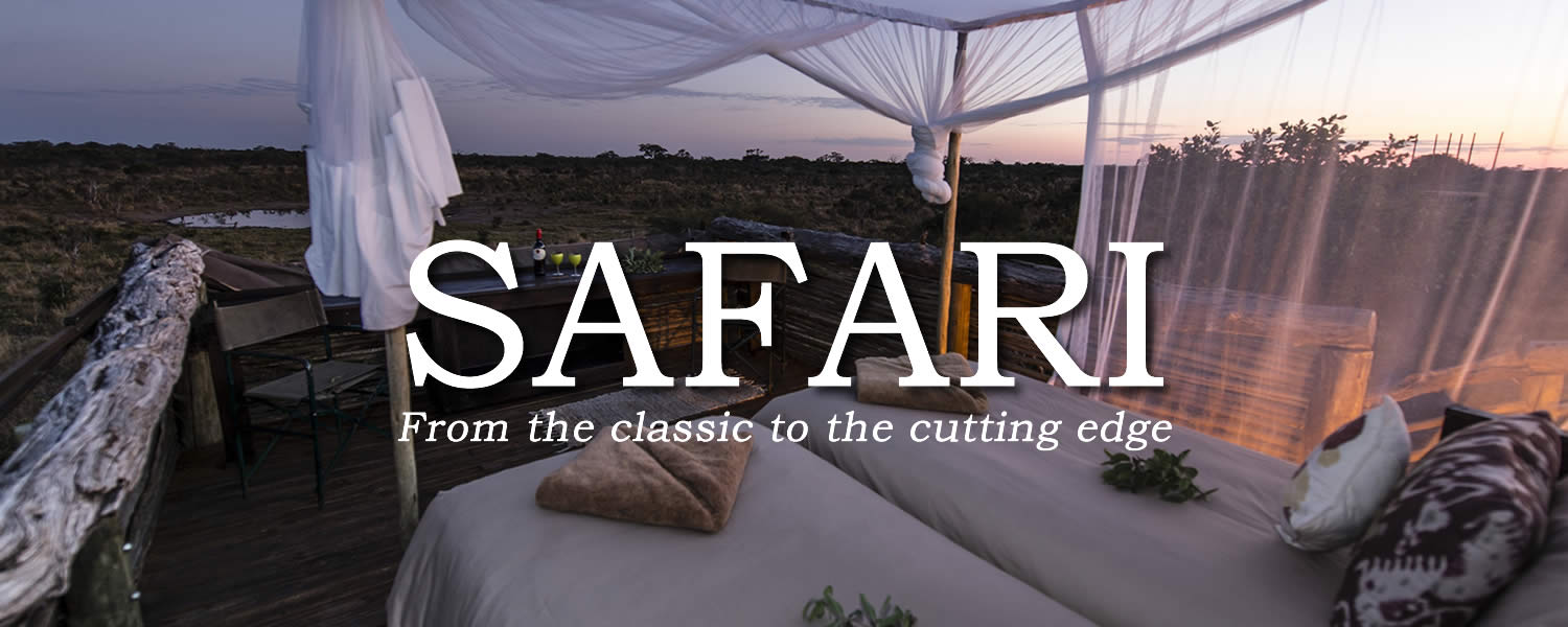 BANNER_safari_SKYBED2.jpg