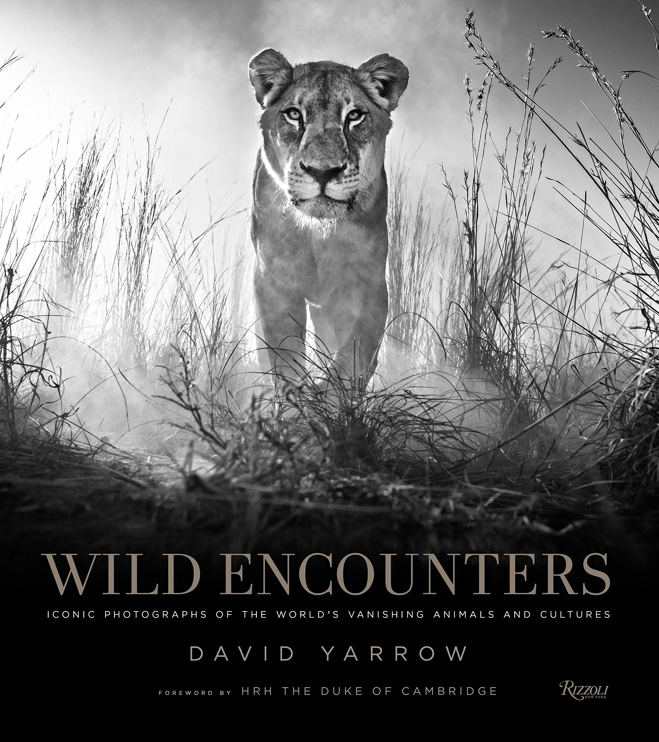David Yarrow.jpg