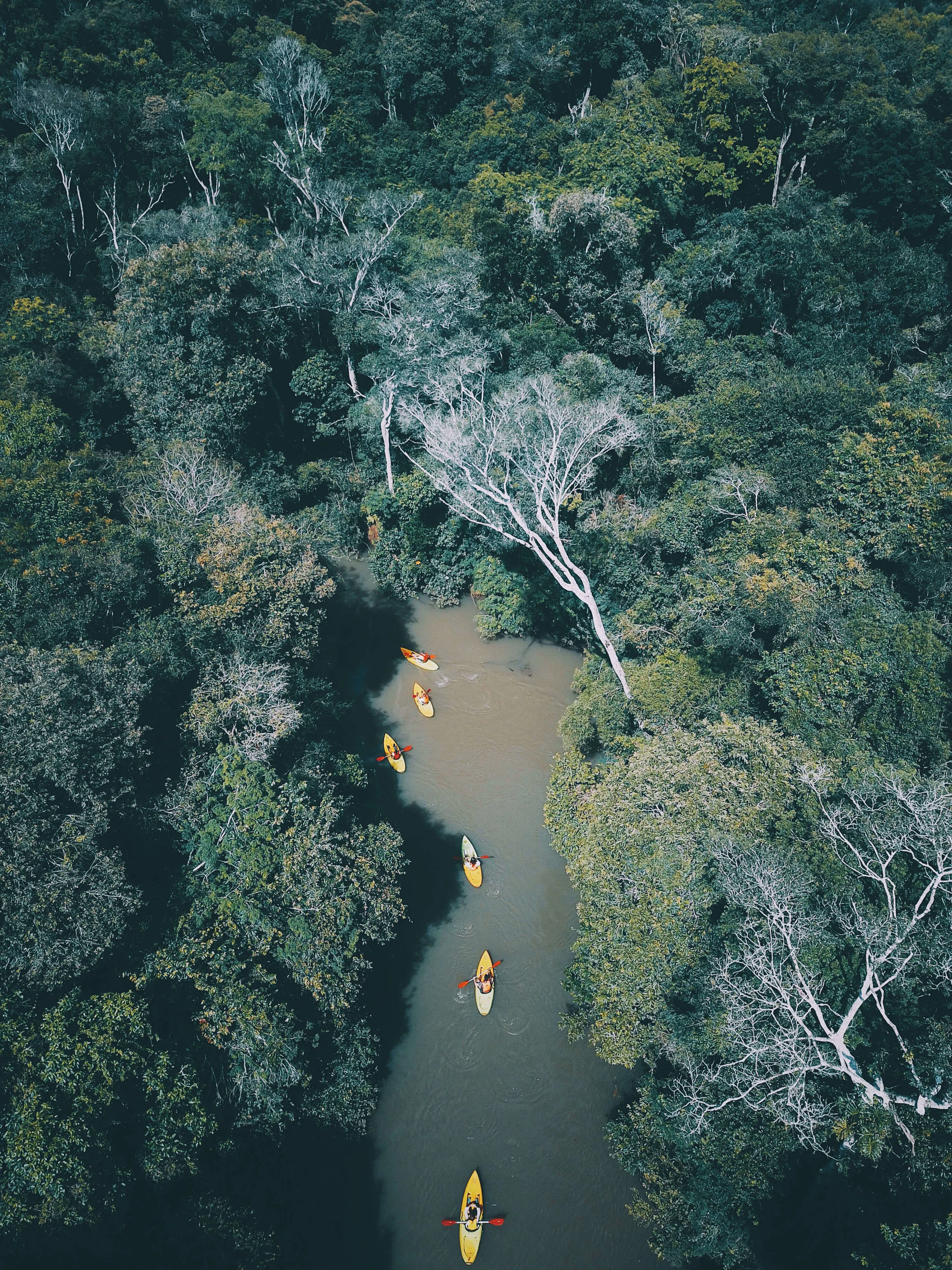 Excursions - Kayak aerial Yacui - Awasi Iguazu.jpg