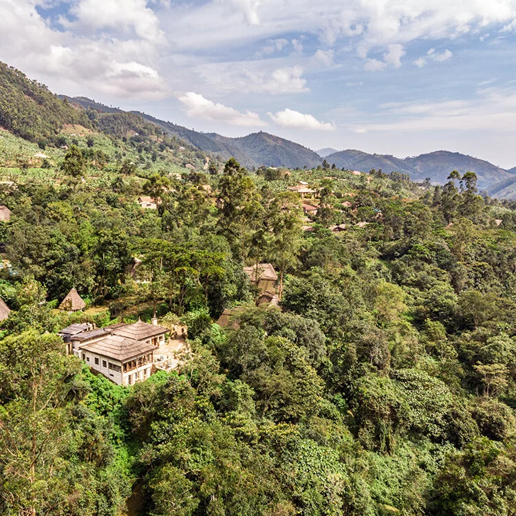 Bwindi Lodge