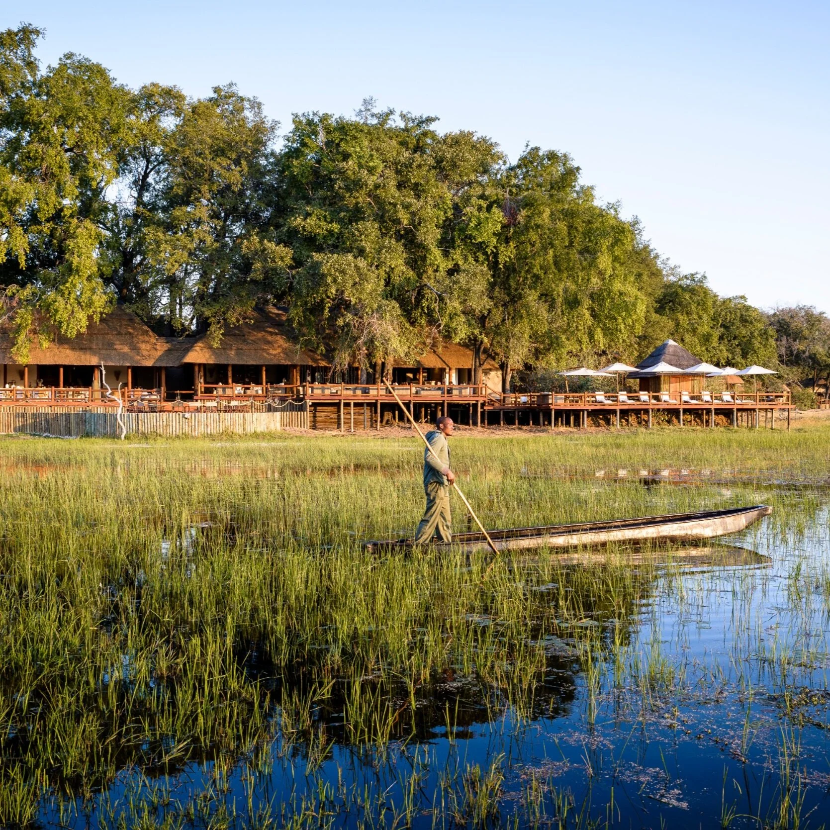 Sanctuary Chief’s Camp