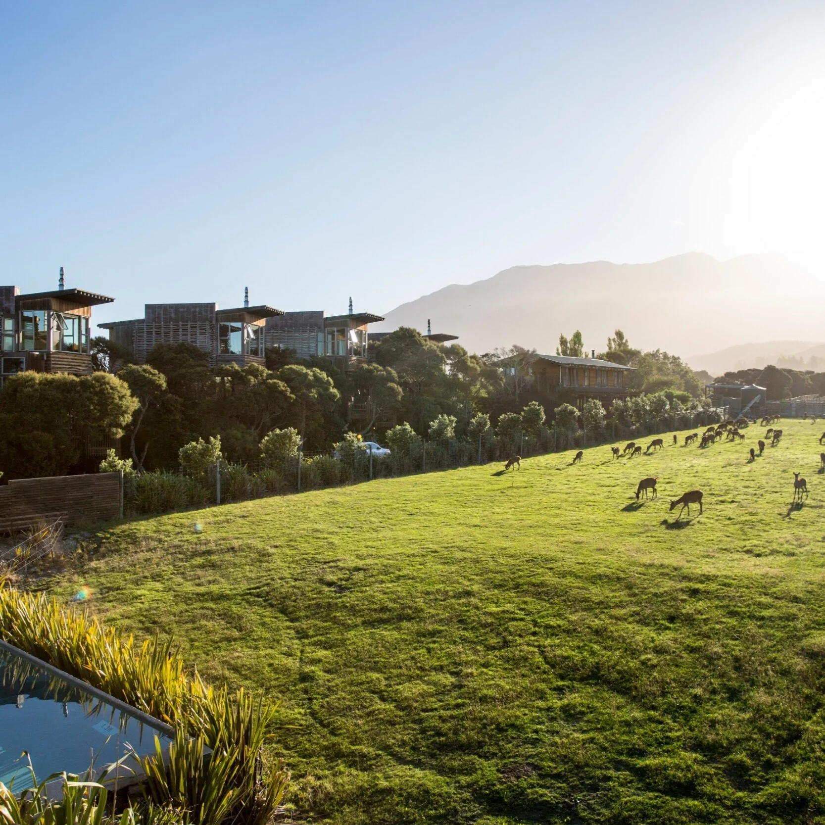 Hapuku Lodge and Tree Houses