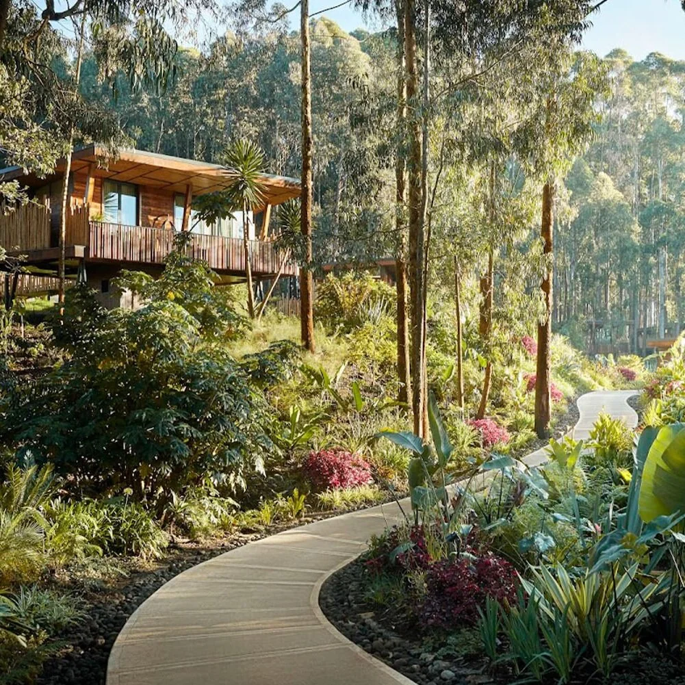 One&amp;Only Gorilla's Nest