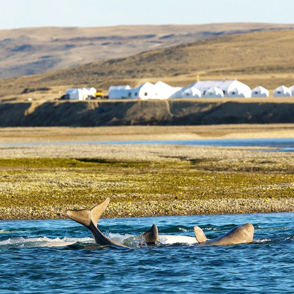 Arctic Wilderness Lodge
