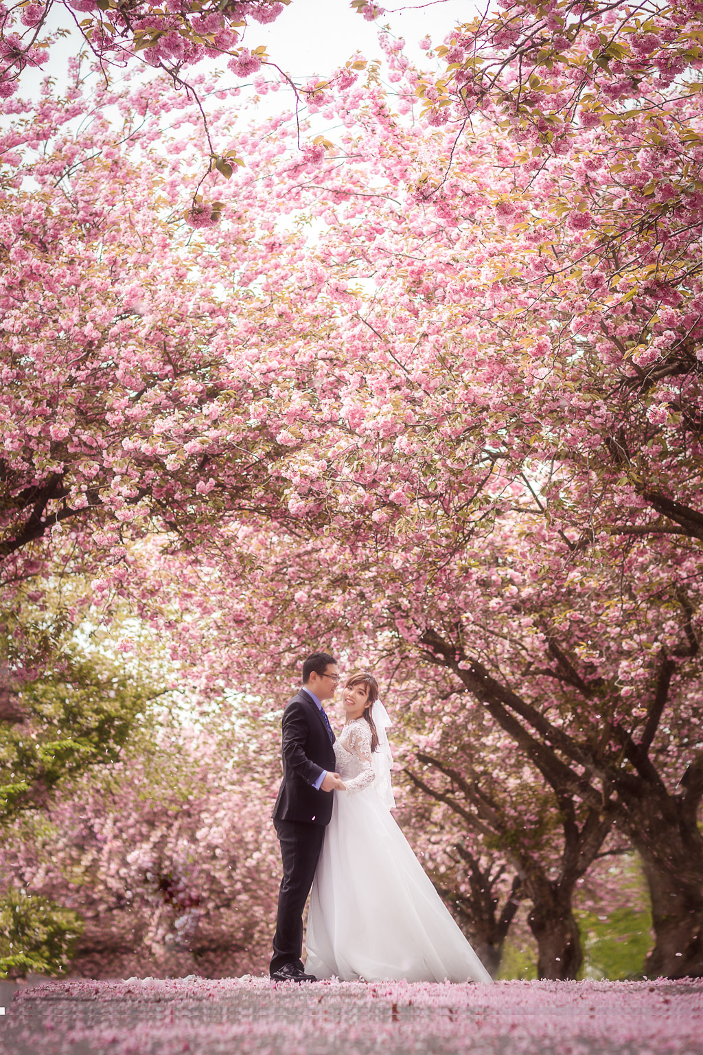 A27Q6655-2-Edit-Edit-编辑.jpg