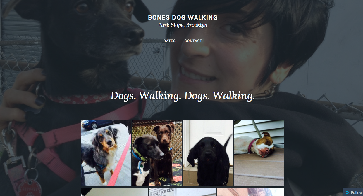 Bones Dog Walking