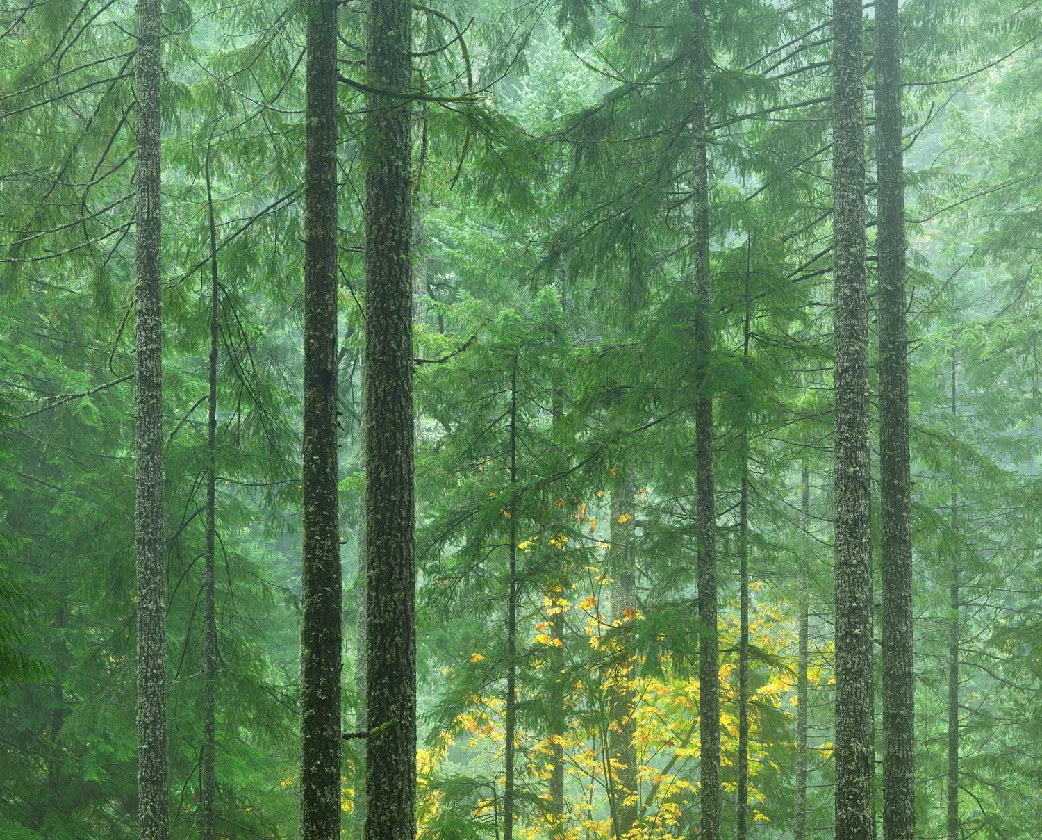 A_6539514.jpg