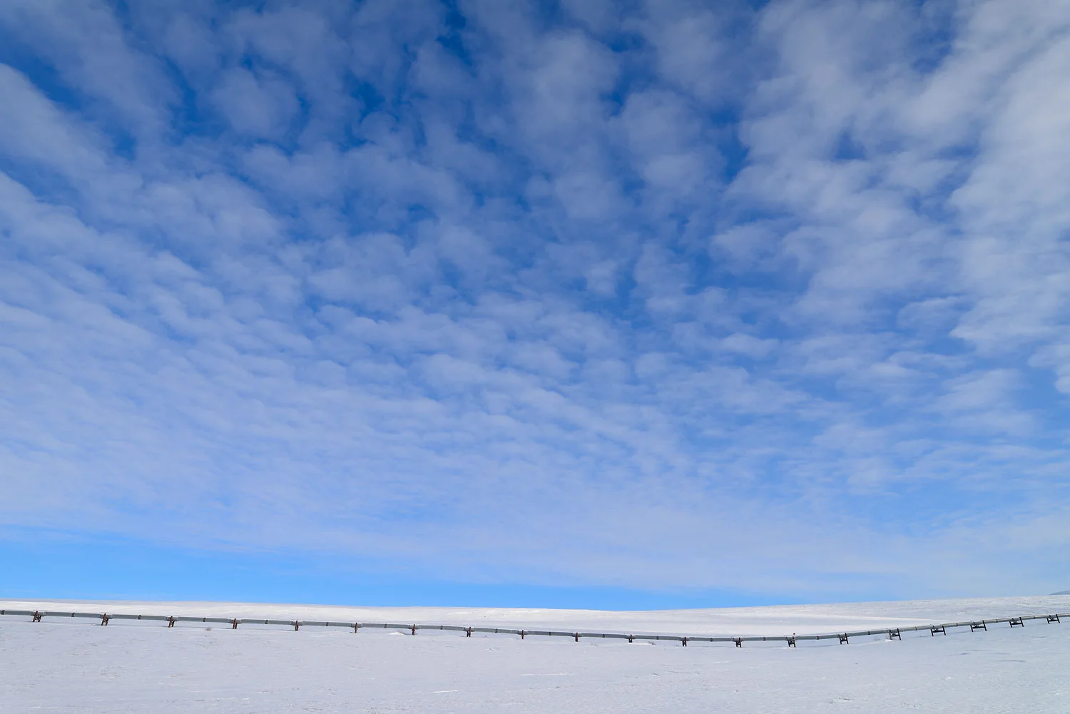 _DSC0708.jpg