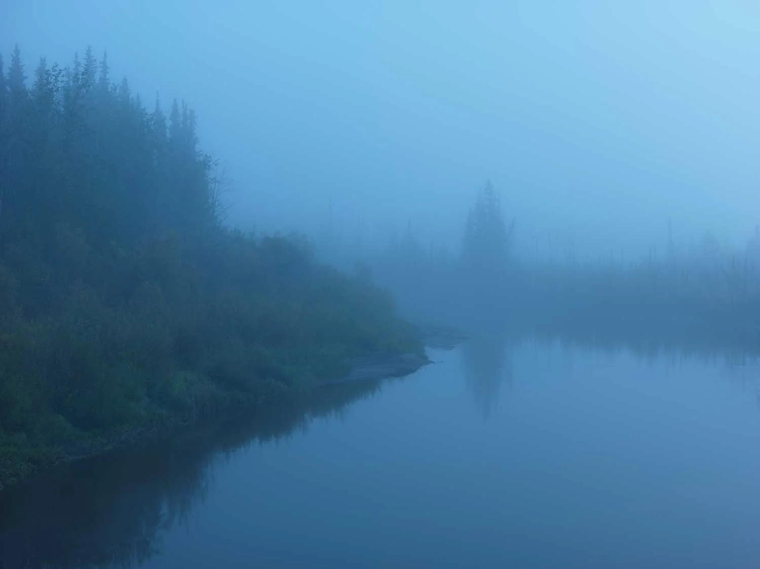 A_6541632.jpg