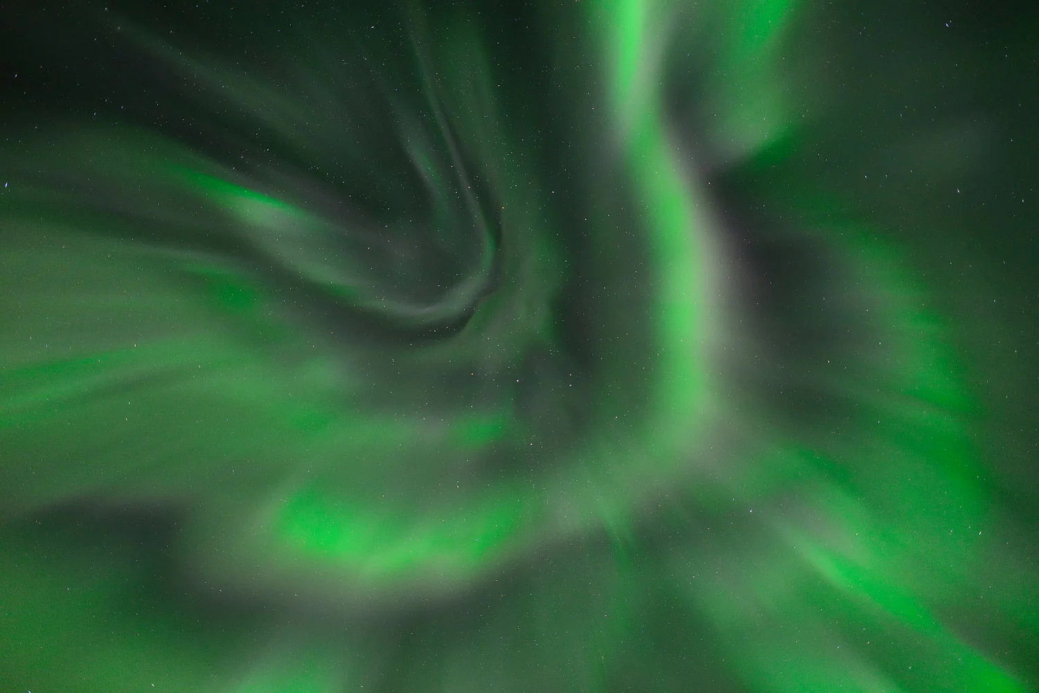_DSC2797.jpg