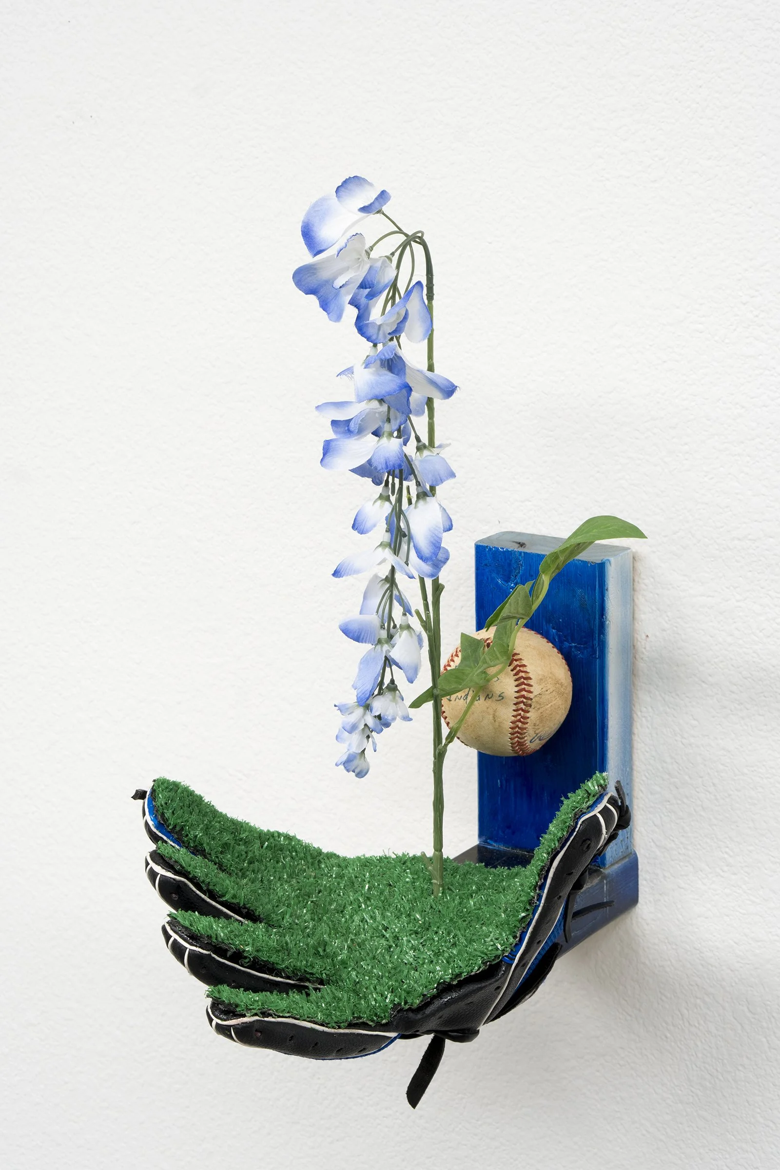 Slick (Wisteria “Blue Moon”)