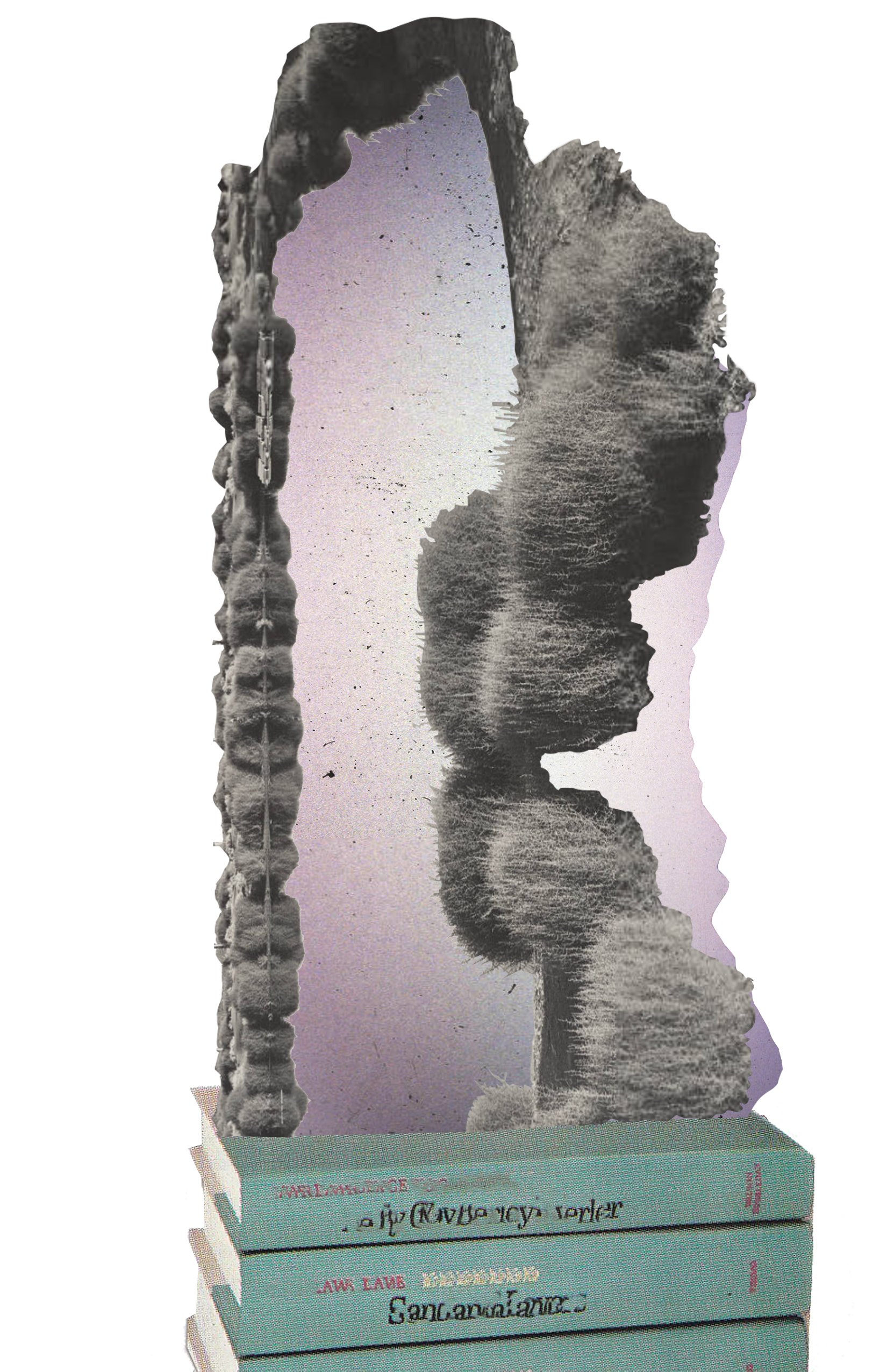Monument to the Desert(ed)