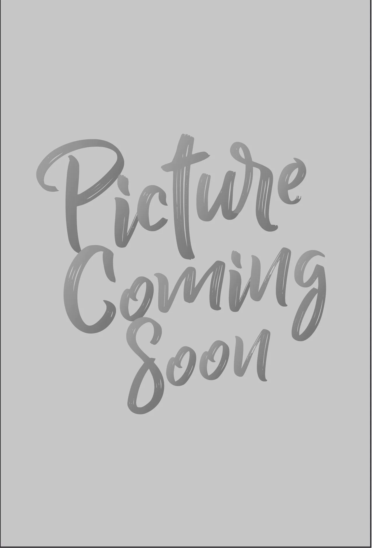 website leader template picture coming soon-01.jpg
