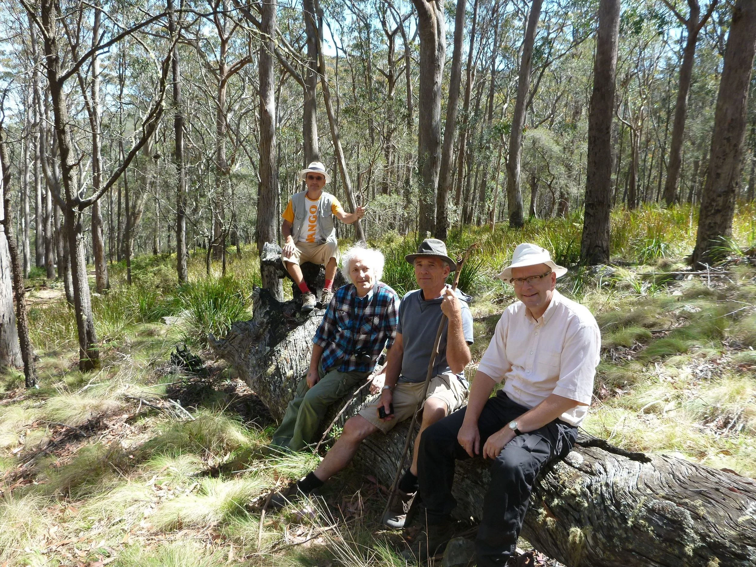  Environmentalists from germany, belgium and austria on a forest discovery retreat