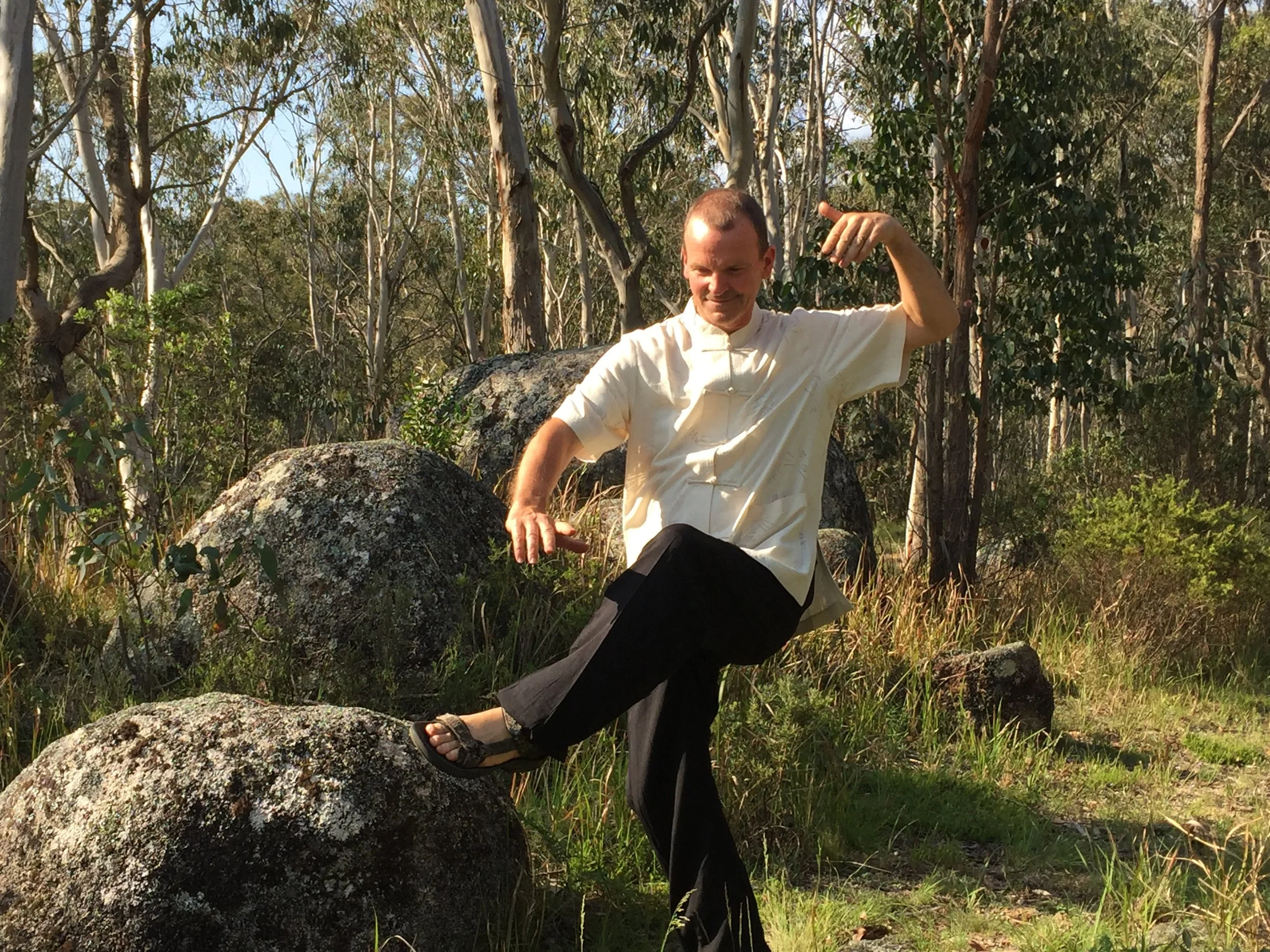 QiGong Master Warren conducts retreats here...