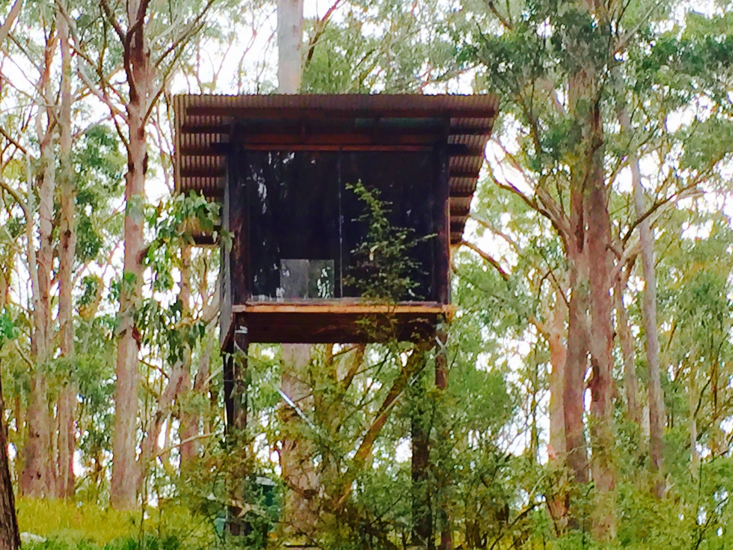 The Hermitage Tree House : a sannyassi's dream come true! Even has a stove..
