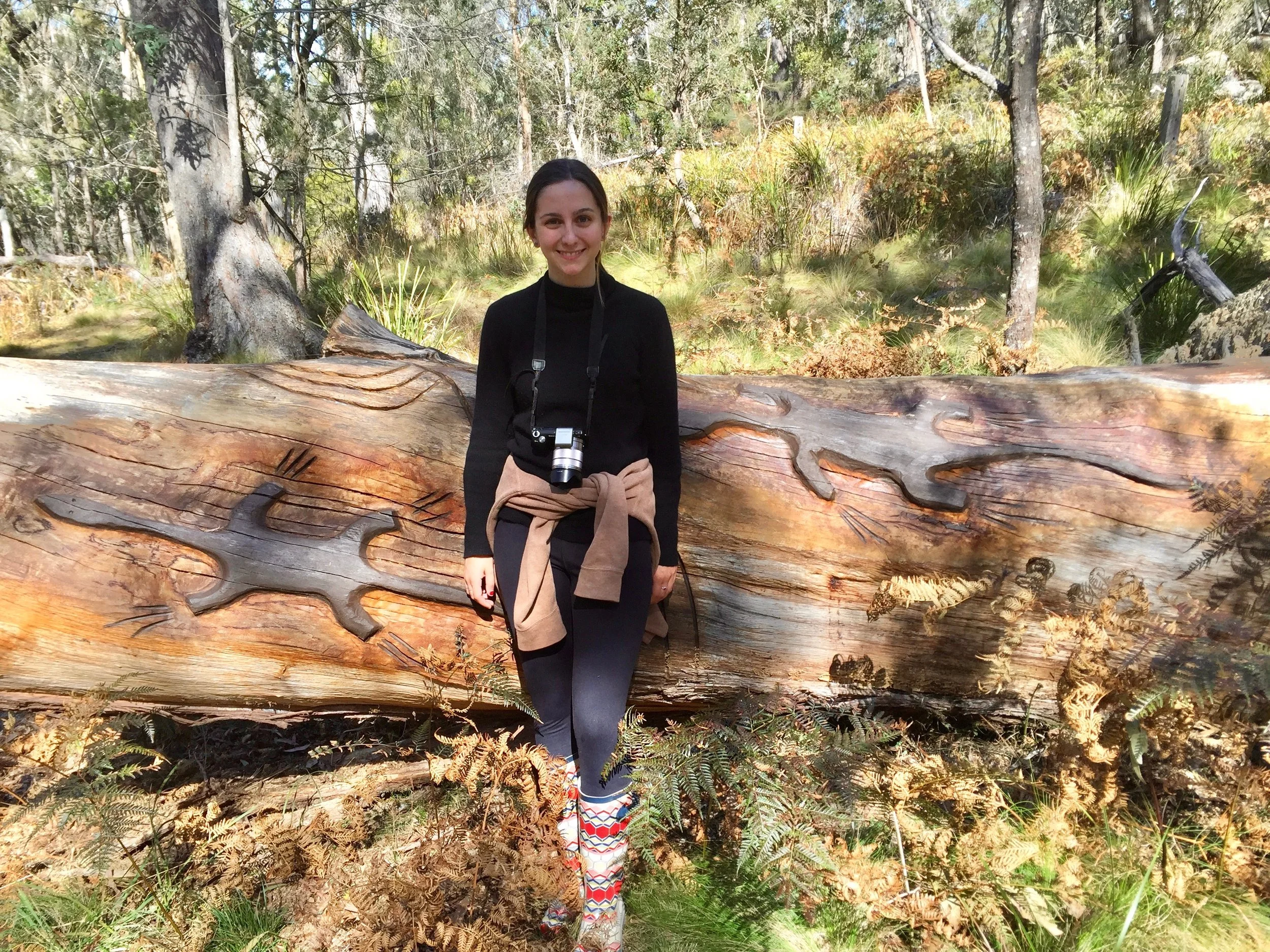 Miranda with...Lizards running along a 200 year old fallen gum tree.