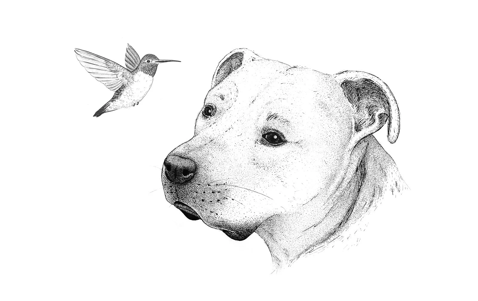 jake_with_hummingbird_chris_cerrato.jpg