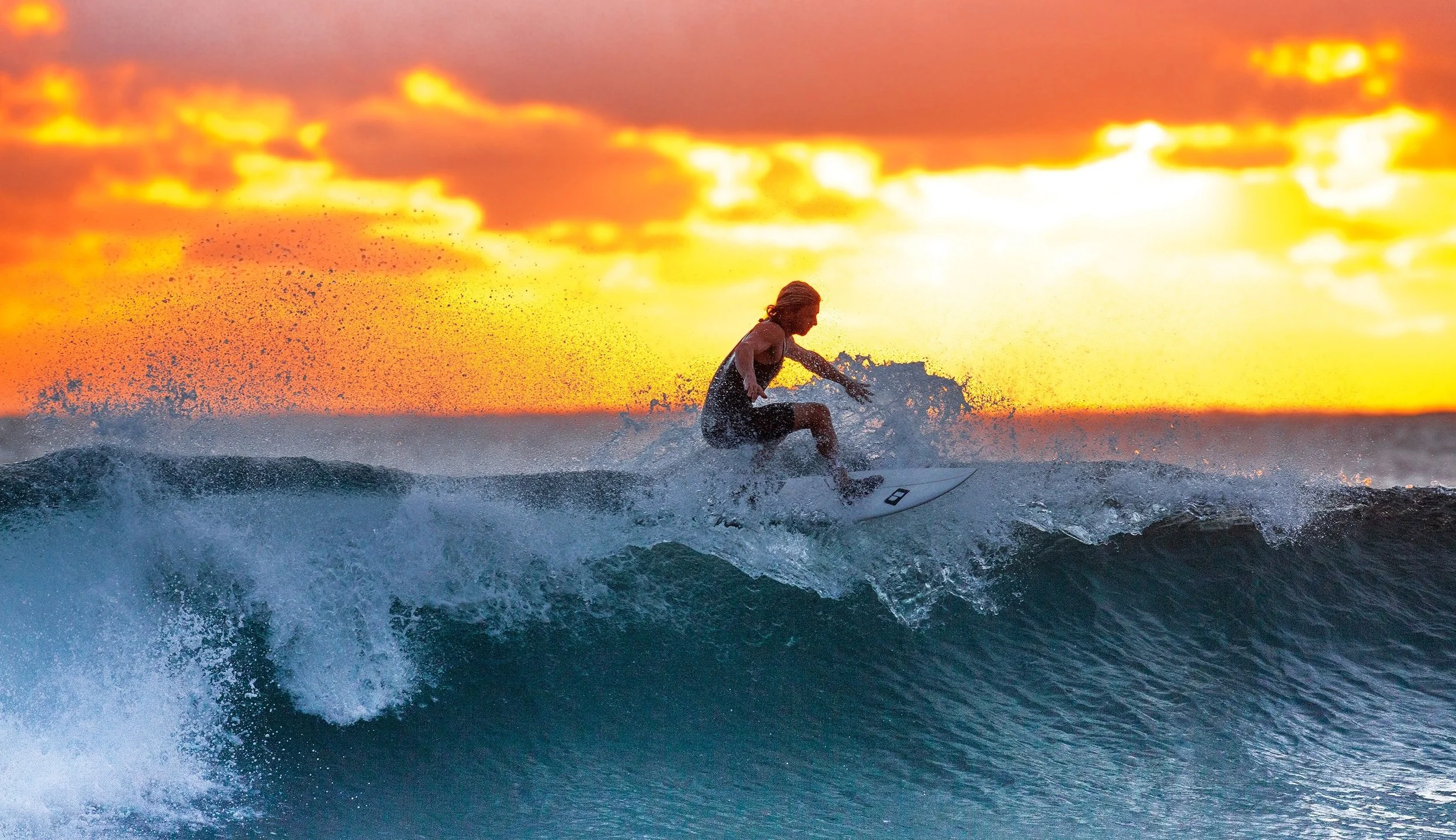 Surf’s Up! Surfboard is Live… Take the Pain out of Managing Startup Boards and Investors
