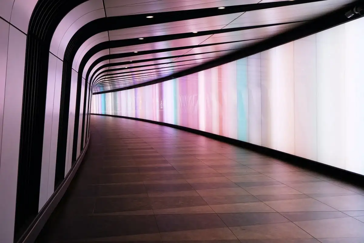 The Rise of AI: Understanding Machine Learning