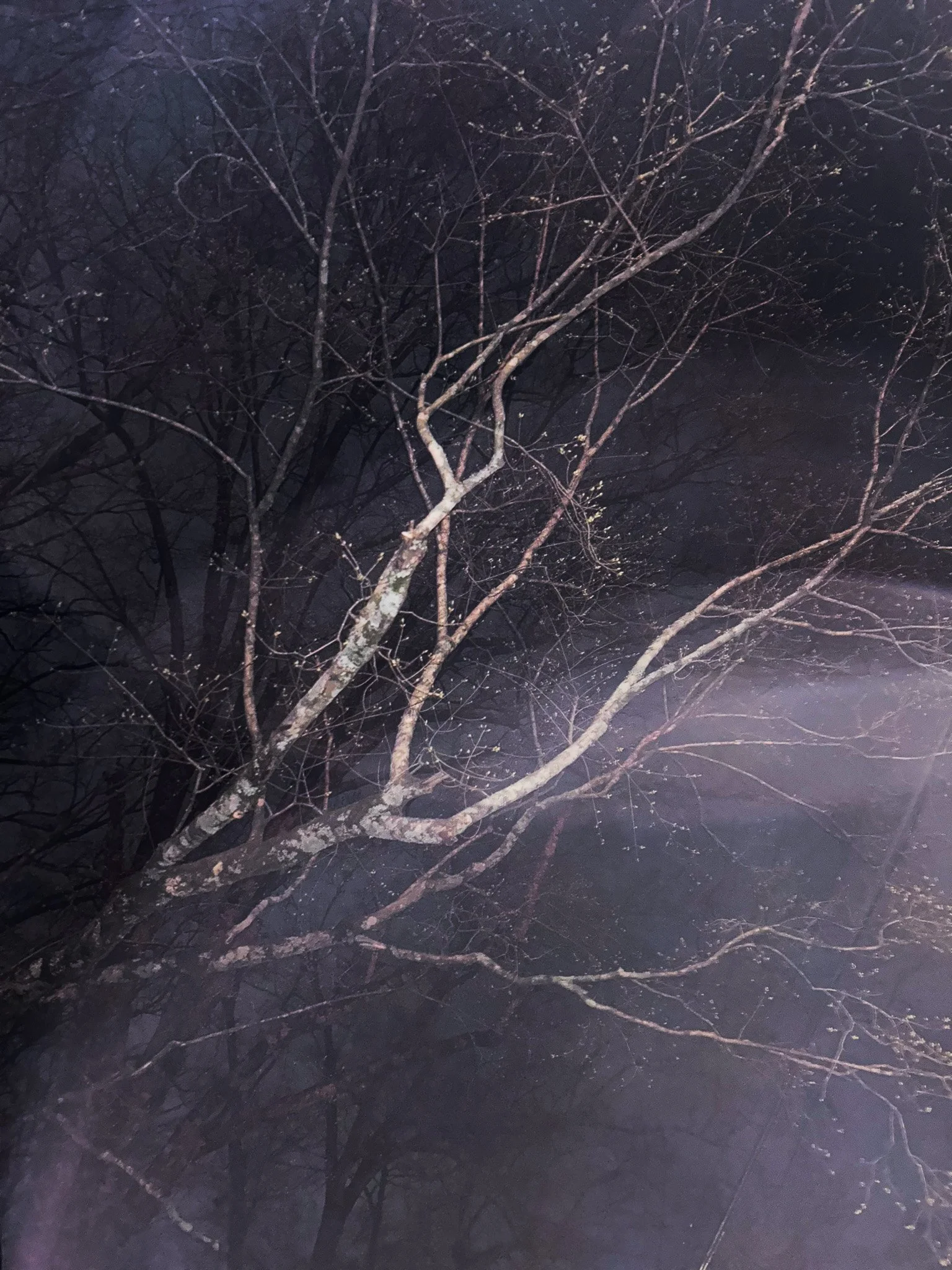 Night Calls
